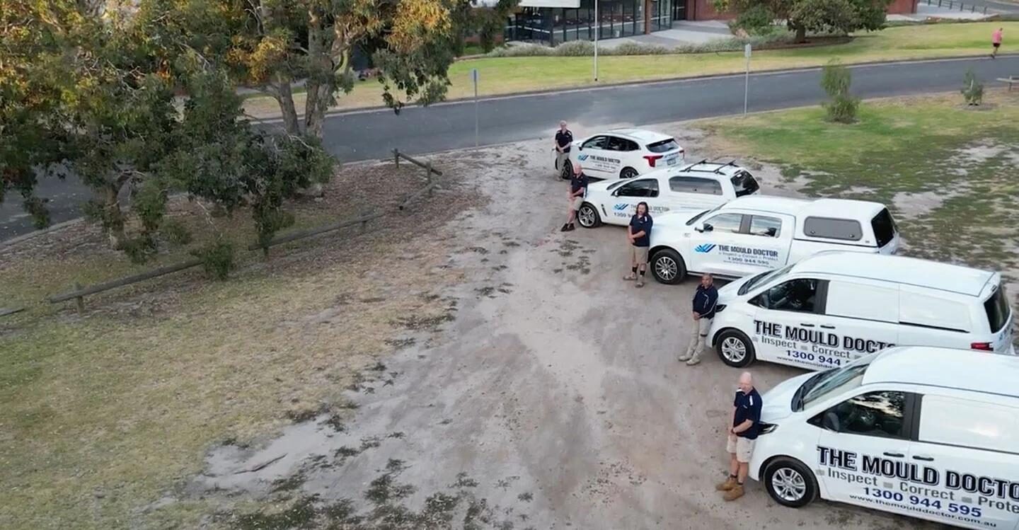 The Mould Doctor technicians standing beside the branded service fleet